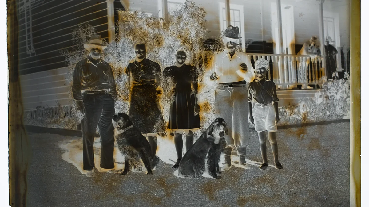 Male vs. Female Dogs: Which One Fits Your Home Better? featured image