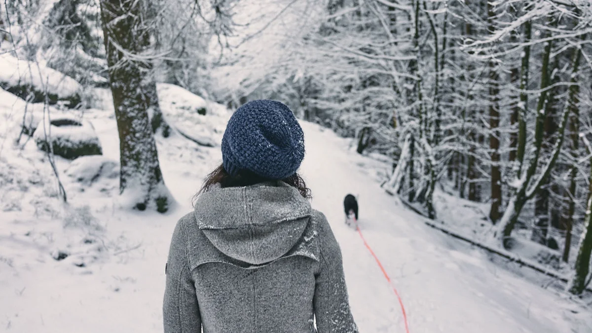 Why Does My Dog Follow Me Everywhere? featured image
