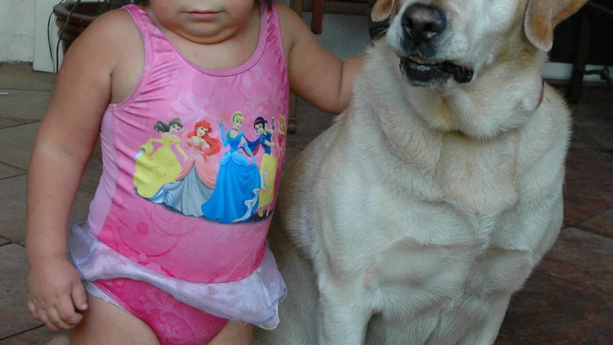 Popular Dog Breeds That Fit Real Family Life featured image
